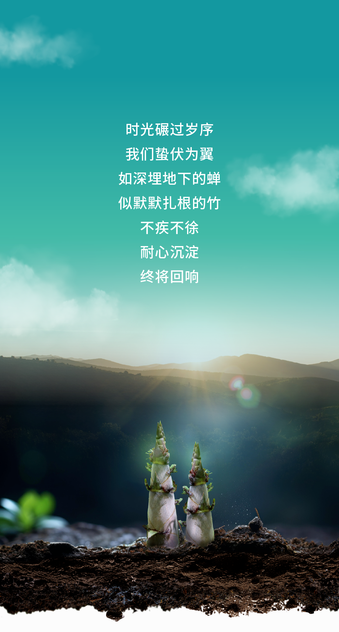 下载.png